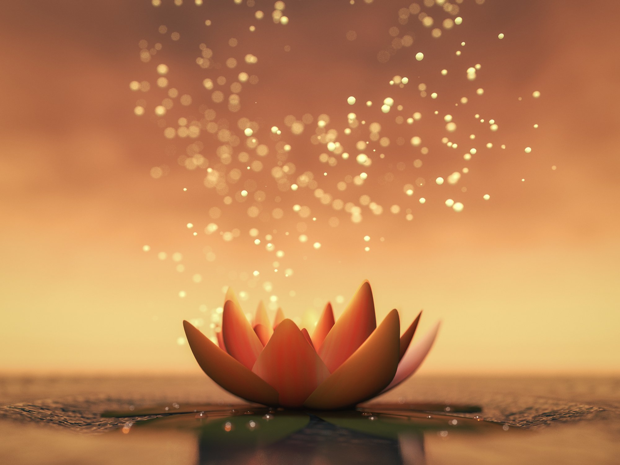 a lotus flower good for relaxation